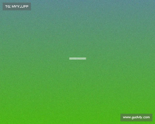 赛事工作手册、比赛工作手册